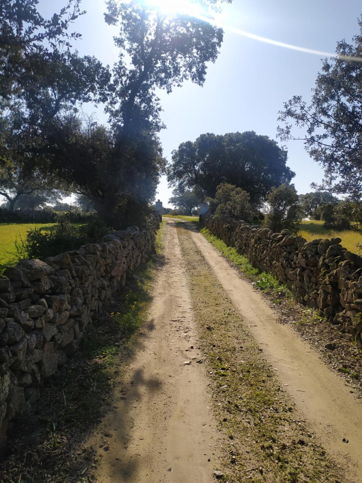 Finca Las Gamitas Almoharin Eksteriør billede