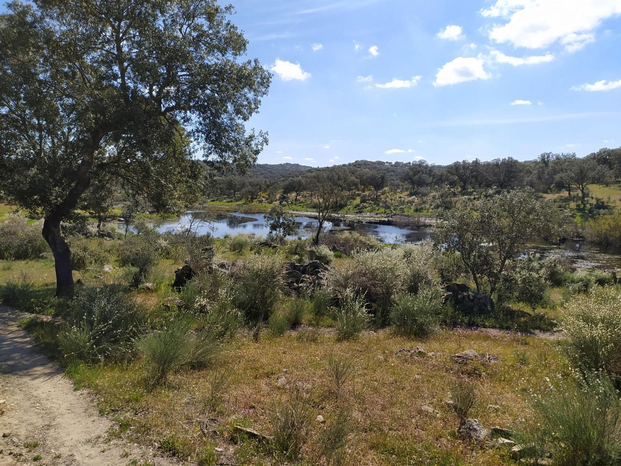 Finca Las Gamitas Almoharin Eksteriør billede